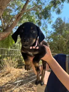 Adoption profile for Margi