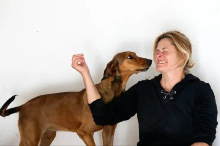 Hund Azeh adoptieren