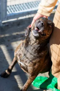 Adoption profile for Tina