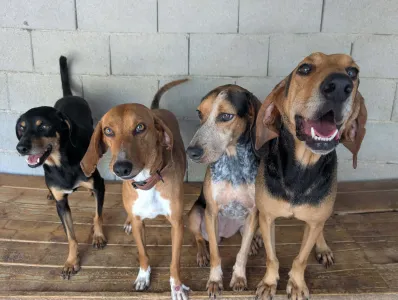 Adoptionsprofil für Clara