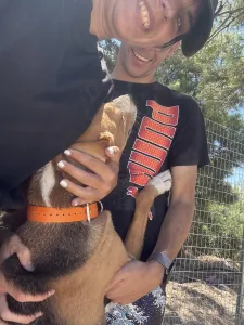 Adopt Kimonas