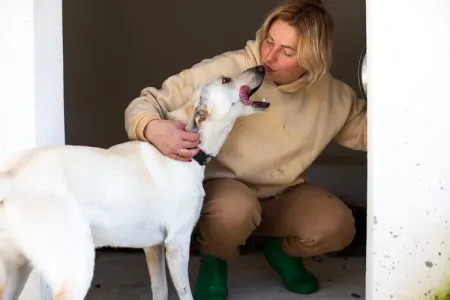 Hund Snow adoptieren