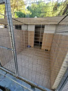 Spendenprojekt