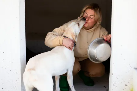 Adoption profile for Snow