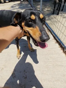 Adoptionsprofil für Zina