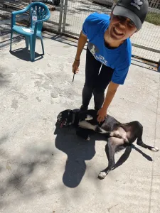 Hund Simba adoptieren