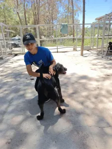Adopt Tom
