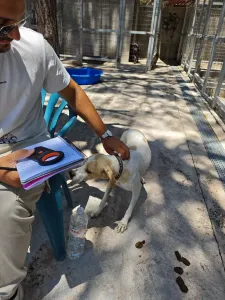 Adopt Alma