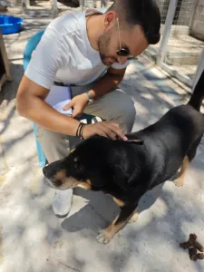 Adopt Mario