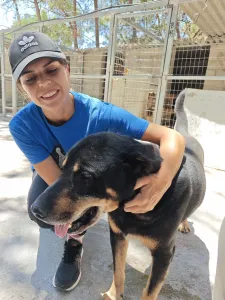 Adopt Mario