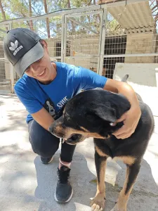 Adopt Mario
