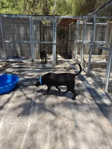 Adoptionsprofil für Maria