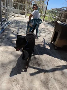 Adopt Maria