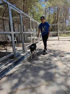 Adopt Lora