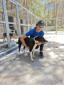 Adopt Lora