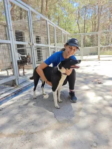 Adopt Lora