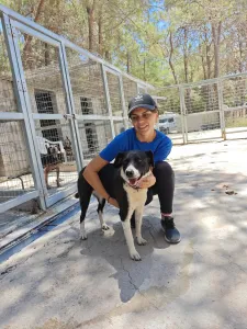 Adopt Lora