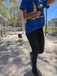 Adopt Mairy