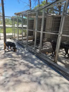 Adopt Mairy