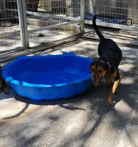 Adopt Mairy