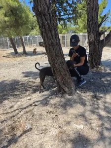 Adopt Mila