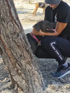 Adopt Mila