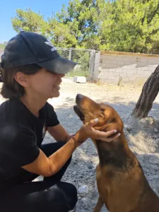 Hund Orfeas adoptieren