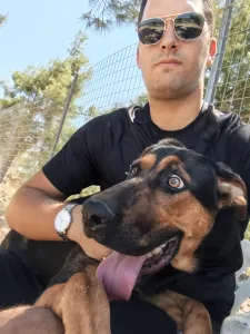 Adopt Ekler