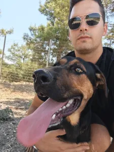 Adopt Ekler