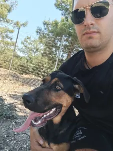 Adopt Ekler