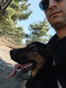 Adopt Ekler