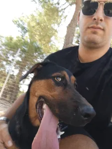Adopt Ekler