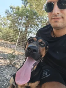 Adopt Ekler