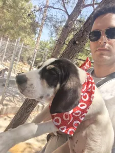 Hund Odi adoptieren
