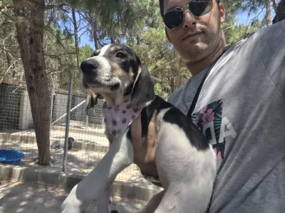 Hund Mairy adoptieren