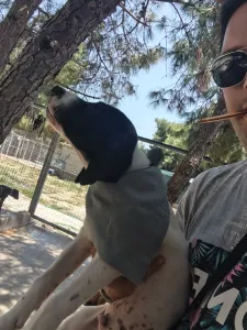 Adopt Bloom