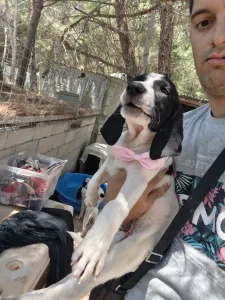 Hund Margi adoptieren