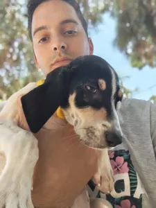 Hund Kaity adoptieren