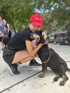 Adopt Penny