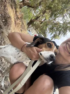 Adoptie hond Tsampika
