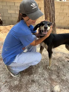 Adopt Anna