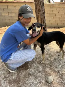 Adoption profile for Anna