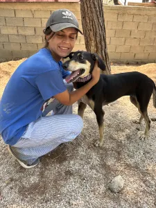 Adopt Anna