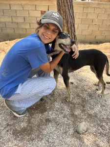 Adopt Anna