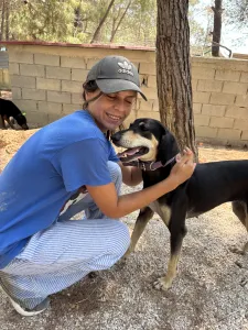 Adopt Anna