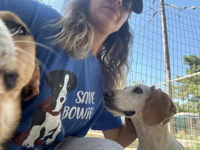 Adopt Ira