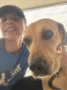 Adopt Petros