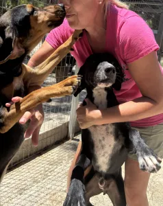 Adopt Loco