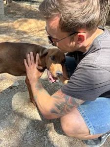 Hund Aris adoptieren