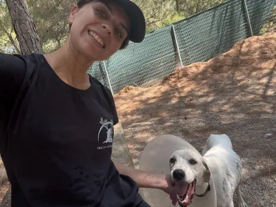 Hund Meli adoptieren